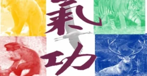 Sport Evolution Arts Energetiques Qi Gong Bordeaux Qi Gong Le Jeu Des 5 Animaux WU QIN XI 1