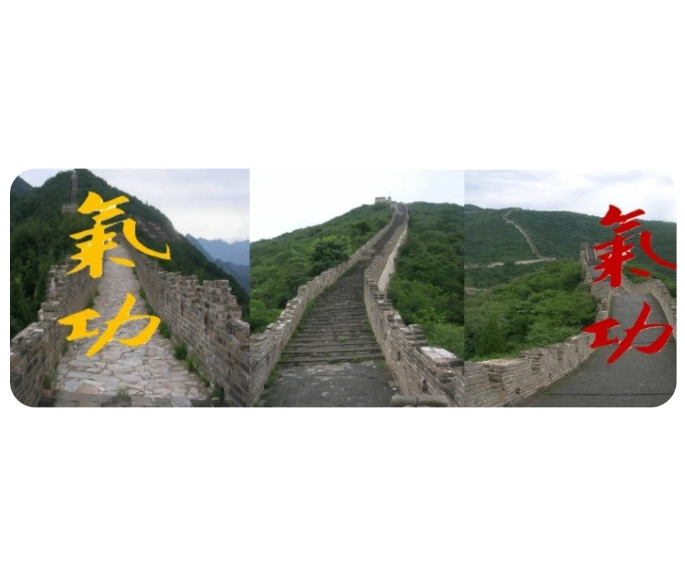 Sport Evolution Arts Energetiques Qi Gong Bordeaux Qi Gong Les Marches Therapeutiques XI XI HU 3