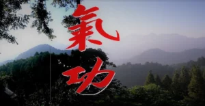 Sport Evolution Arts Energetiques Qi Gong Bordeaux Qi Gong Les Six Sons De Guerison Liu Zi Jue 1 1