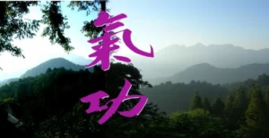 Sport Evolution Arts Energetiques Qi Gong Bordeaux Sport Evolution Arts Energetiques Qi Gong Bordeaux Composition Qi Gong 2 B 990x500 1 1