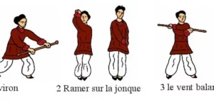 Sport Evolution Arts Energetiques Qi Gong Bordeaux Stage De Qi Gong Tai Ji Yang Sheng Zhang Ou Qi Gong Du Baton 1