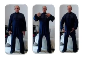 Sport Evolution Arts Energetiques Qi Gong Bordeaux Posture De Larbre 1
