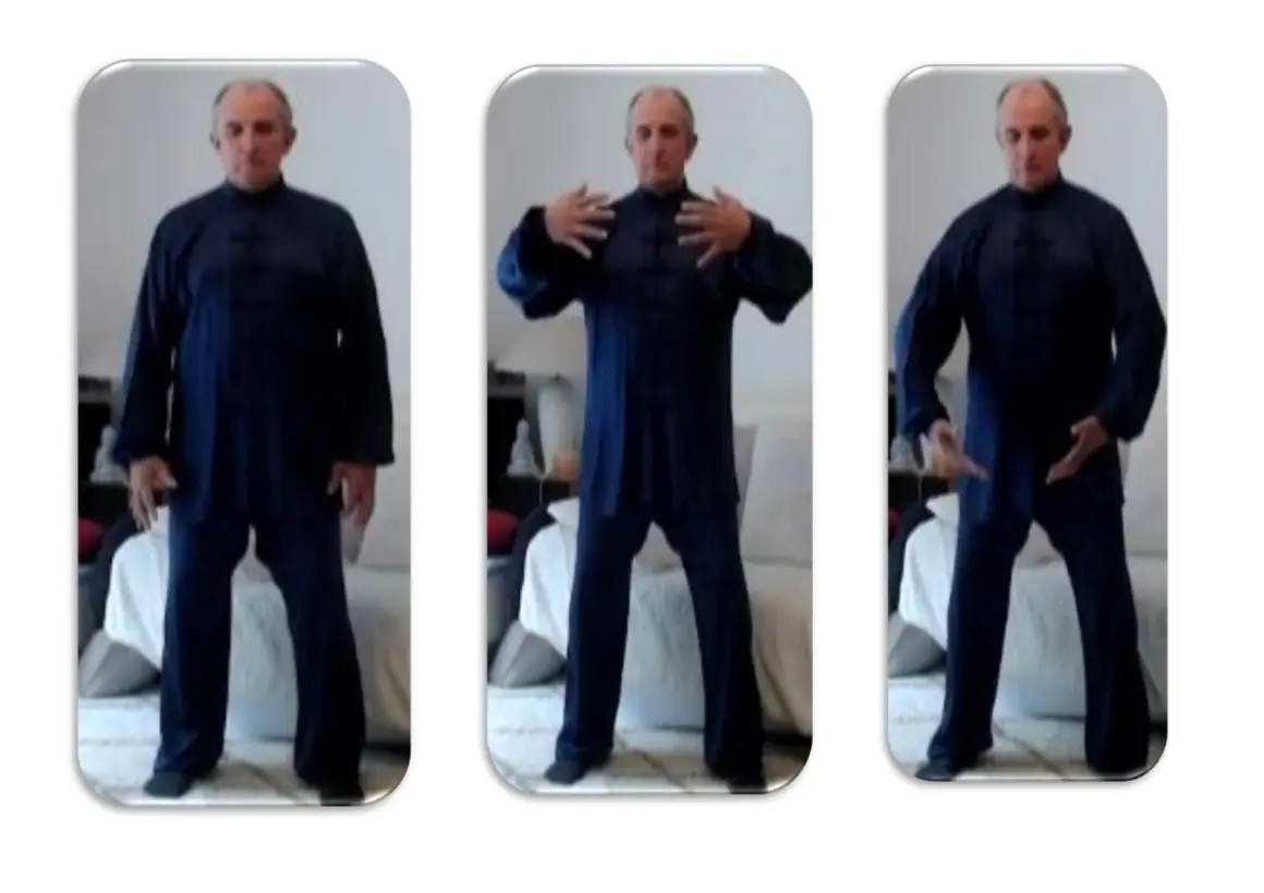 Qi Gong La voie du mouvement « DA CHENG QUAN »